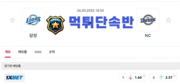 스포츠분석 (1).jpg