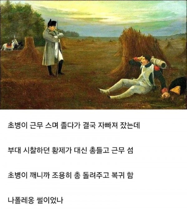 1747114256608.jpeg